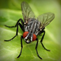 /album/powergirl/photolia-a01-jpg/