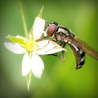 /album/powergirl/photolia-a02-jpg/