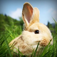 /album/powergirl/photolia-a03-jpg/