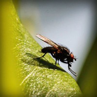 /album/powergirl/photolia-a04-jpg/