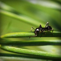 /album/powergirl/photolia-a05-jpg/