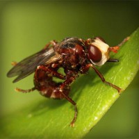 /album/powergirl/photolia-a06-jpg/