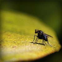 /album/powergirl/photolia-a07-jpg/