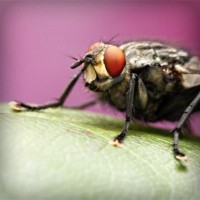 /album/powergirl/photolia-a08-jpg/